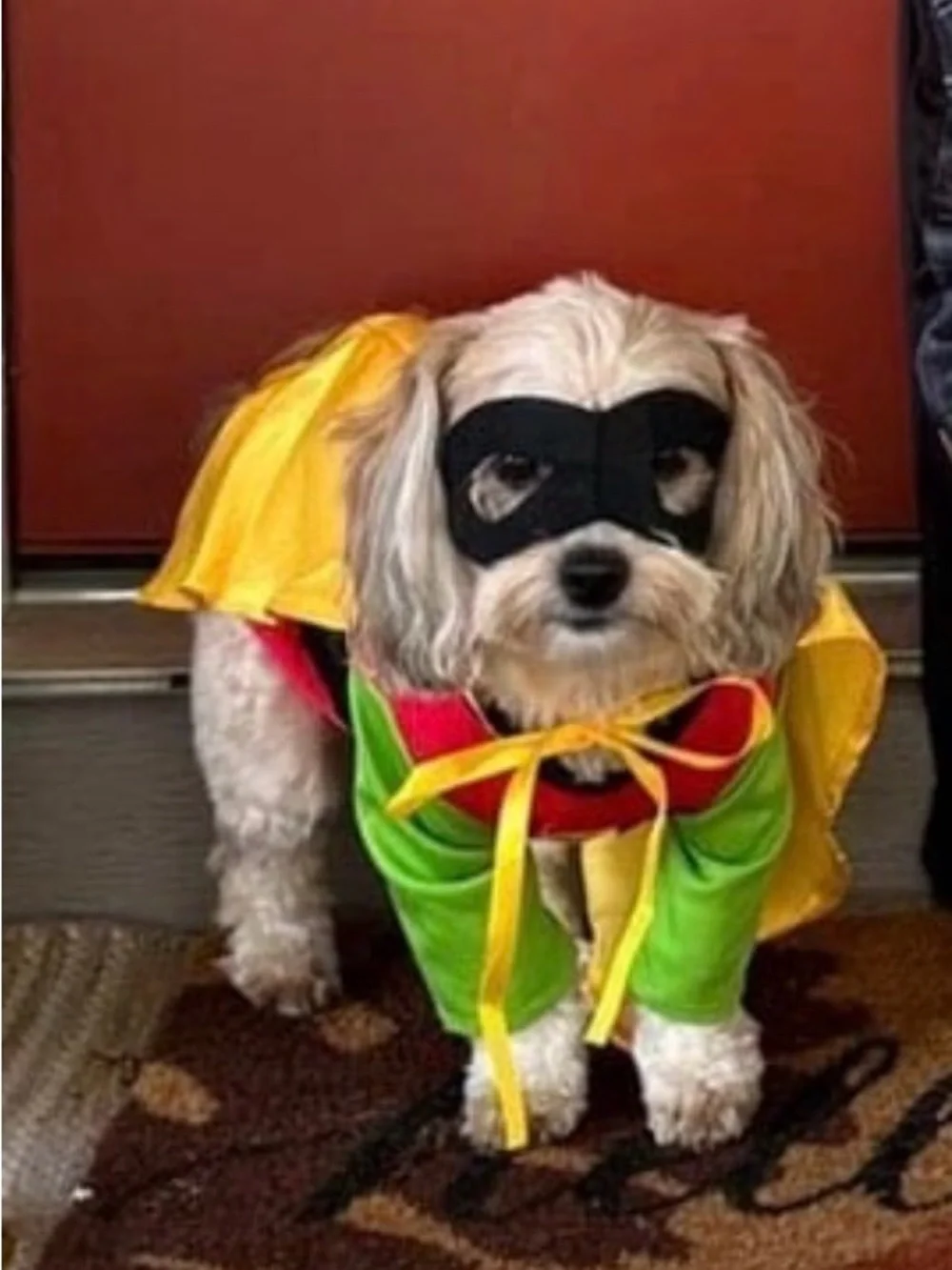 Pet Dog Superhero Costume in Yellow & Green with Black Mask